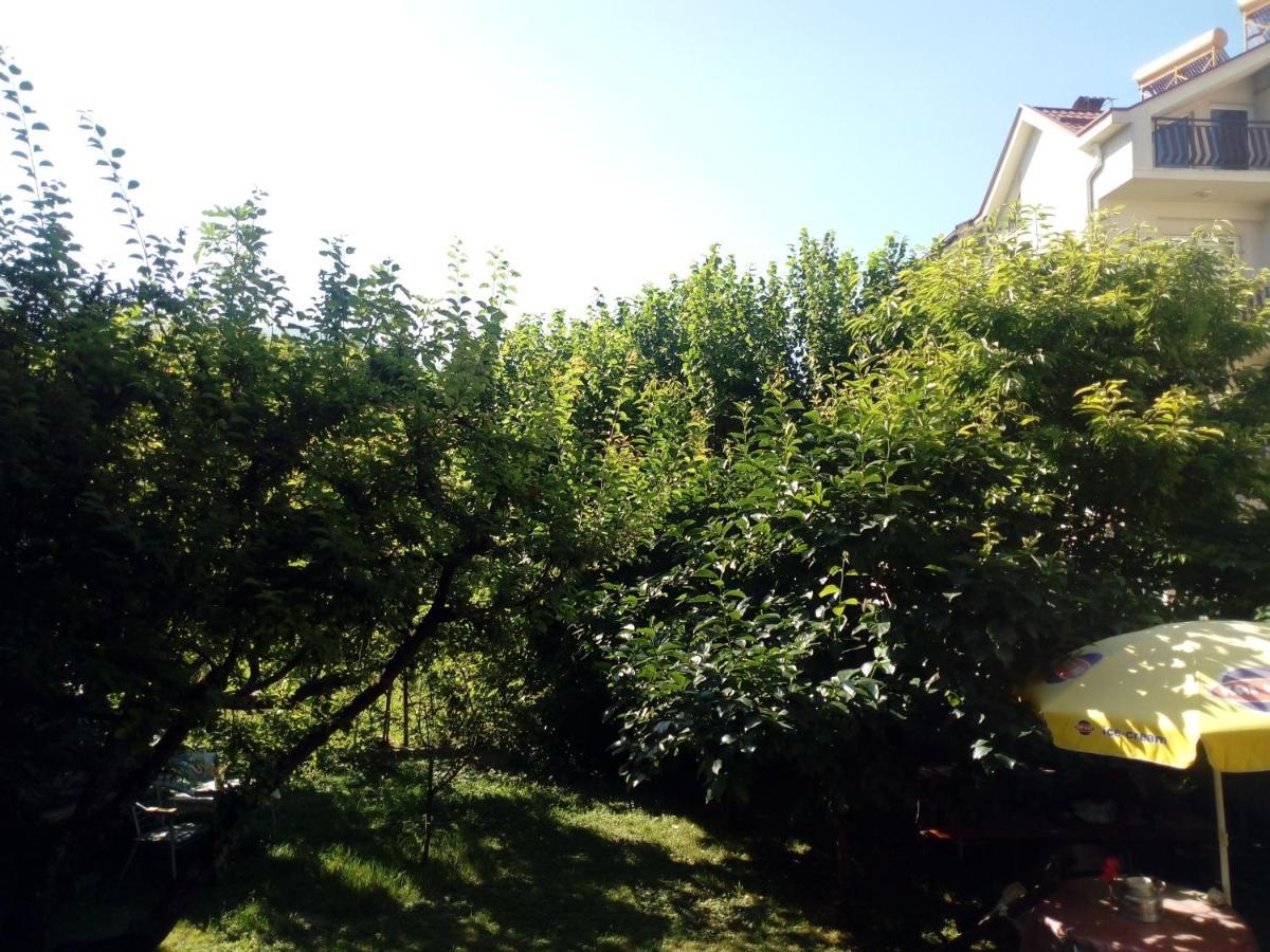Vila Dudan Ohrid Eksteriør bilde